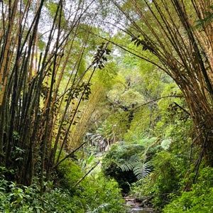 Meet your Posher, Bevs